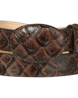 Cowboy Belt - El General - Imitation- Pirarucu - Brown 44668