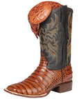 El General Rodeo - Printed Alligator leather boots - Cogñac 44939