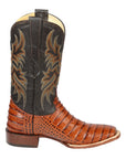 El General Rodeo - Printed Alligator leather boots - Cogñac 44939