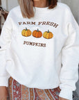 FARM FRESH PUMPKINS Embroidered Thanksgiving Sweatshirt