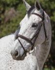 Replacement Noseband of ExionPro Designer Stitched Mono Crown Piece Snaffle Bridle