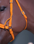 Hilason Flat Braided Paracord Horse Headstall Bridle Black W/ Crystals