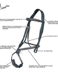 ExionPro Broad Crownpiece Designer Fully Adjustable Figure 8 Bridle with Reins