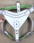 Large Leather Dog Harness Padded Genuine White Hilason