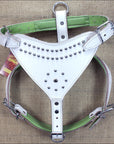 Large Leather Dog Harness Padded Genuine White Hilason