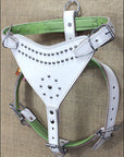 Large Leather Dog Harness Padded Genuine White Hilason