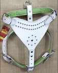 Large Leather Dog Harness Padded Genuine White Hilason