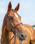 ExionPro Detachable Flash New Thin Raised Bridle & Reins