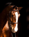 Replacement Noseband of ExionPro Padded Hunter Bridle