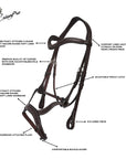 ExionPro Anatomical Combined Flash Bridle with Reins
