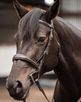 ExionPro Fancy Stitched Raised Anatomical Bridle with Reins without Flash