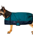 Hilason 200 gsm 600D Winter Turnout Waterproof Dog Blanket