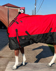 Hilason 600D Winter Waterproof Miniature Horse Turnout Blanket Red