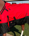 Hilason 600D Winter Waterproof Miniature Horse Turnout Blanket Red