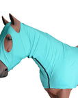 Hilason Spandex Horse Mane Stay Hood Neck Cover With Zipper Teal