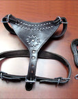 Medium Leather Dog Harness Black Genuine With Leash Hilason