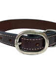 BAR H EQUINE Cactus Hand Painted And Carved Western Leather Dog Collar Brown