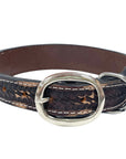BAR H EQUINE Premium Quality Beaded Bright Designs Western Leather Dog Collar