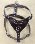 Large Leather Dog Harness New Padded Genuine With Matching Leash Hilason