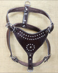 Large Leather Dog Harness New Padded Genuine With Matching Leash Hilason