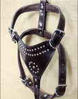 Large Leather Dog Harness New Padded Genuine With Matching Leash Hilason