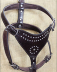Large Leather Dog Harness New Padded Genuine With Matching Leash Hilason