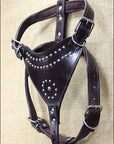 Large Leather Dog Harness New Padded Genuine With Matching Leash Hilason