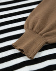 Stripe Colorblock Sleeve Ribbed Trim Sweater