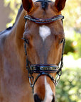 The Hayworth - Black Patent Snaffle with Burgundy Patent Piping & Removable Flash