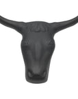 Practice Steer Head