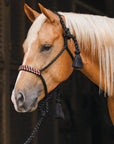 Professional's Choice Horse Cowboy Braided Woven Halter