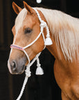 Professional's Choice Horse Cowboy Braided Woven Halter