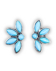 Brooks Stud Fashion Earrings