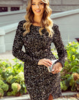 Emersyn Sequin Long Sleeve Bodycon Dress