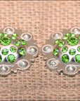 Hilason Olivine Crystal Rhinestone Bling Berry Concho Saddle Tack Cowgirl