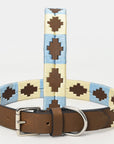 BAR H EQUINE Western Genuine Leather Dog Collar Embroidered Beige & Light Blue