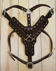Large Leather Dog Harness Brown Genuine With Leash Hilason