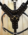 Large Leather Dog Harness Brown Genuine With Leash Hilason