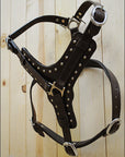 Large Leather Dog Harness Brown Genuine With Leash Hilason