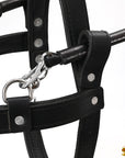 Guide Dog Harness Hilason Black Padded Genuine Leather Harness