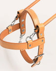 HILASON Guide Dog Harness Brown Padded Genuine Leather with Handle Tan | Dog Harness with Adjustable Straps | Dog Harness with Handle for Training | Breathable Dog Harness | Therapy Dog Harness