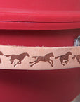 K&D Equestrian Heavy-Duty Rope Storage Can Keep Ropes Organized Tangle-Free