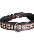 Hilason Heavy Duty Handmade Genuine Leather Dog Collar Brown with rivets