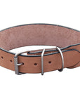 Hilason Heavy Duty Handmade Genuine Leather Dog Collar Tan
