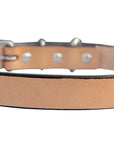 Hilason Heavy Duty Handmade Genuine Leather Dog Collar Tan