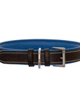ExionPro Fancy Stitched Padded Leather Dog Collar - Blue Padding