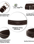 ExionPro Fancy Stitched Padded Leather Dog Collar - Conker Padding