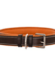 ExionPro Fancy Stitched Padded Leather Dog Collar - Conker Padding