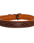 ExionPro Fancy Stitched Padded Leather Dog Collar - Conker Padding