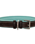 ExionPro Fancy Stitched Padded Leather Dog Collar - Sky Blue Padding